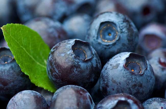 企业食堂承包公司浅谈蓝莓的几大功效